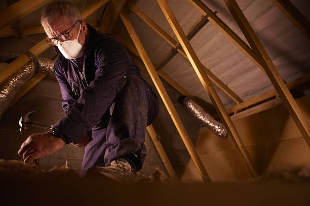 Best Insulation Replacement Services  in Wink, TX